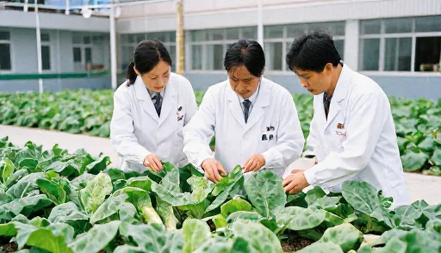 种植技术指导如何应对价格波动中的理解误区