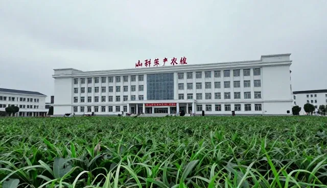 农产品收购中种植技术对品质的影响原因