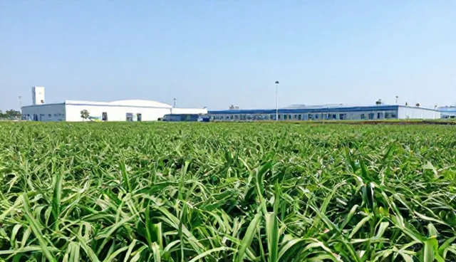 农产品收购需关注技术推广,提升质量与效率